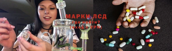 мяу мяу мука Михайловск