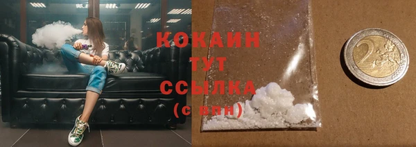 соль ск Михайлов