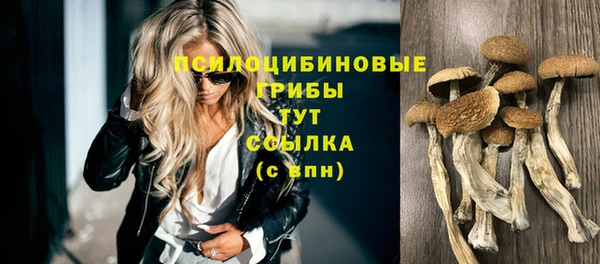 PSILOCYBIN Михайловка