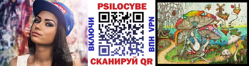 даркнет сайт  Торжок  Псилоцибиновые грибы GOLDEN TEACHER 